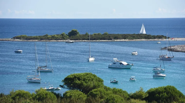 'To vi&scaron;e nije kupanje, čeka nas borba za povratak ekolo&scaron;ke ravnoteže'