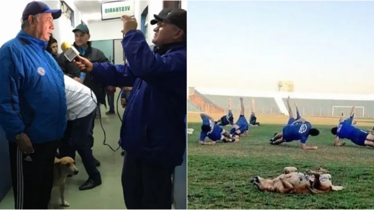 Najljep&scaron;a priča danas: Pas lutalica postao pomoćni trener, trenira s igračima, a reži samo na protivnike