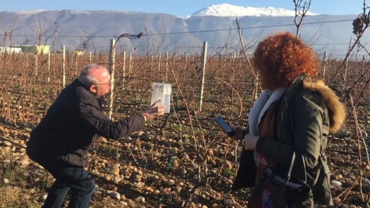SAN pametna mreža zadarskim će poljoprivrednicima davati rana upozorenja o mogućim štetama na kulturama