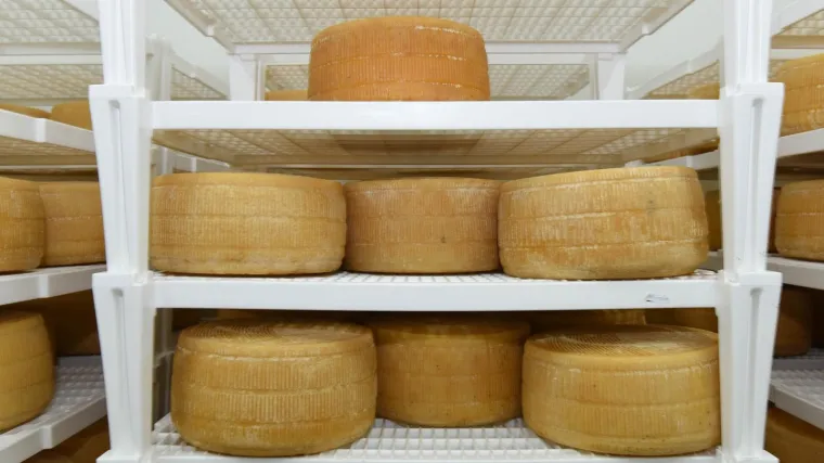 U Dalmaciji prona&scaron;li tragove najstarijeg svjetskog sira proizvedenog prije 7.200 godina