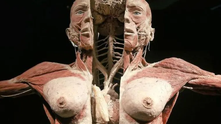 Njemački sud: doktor Smrt može nastaviti s izložbama