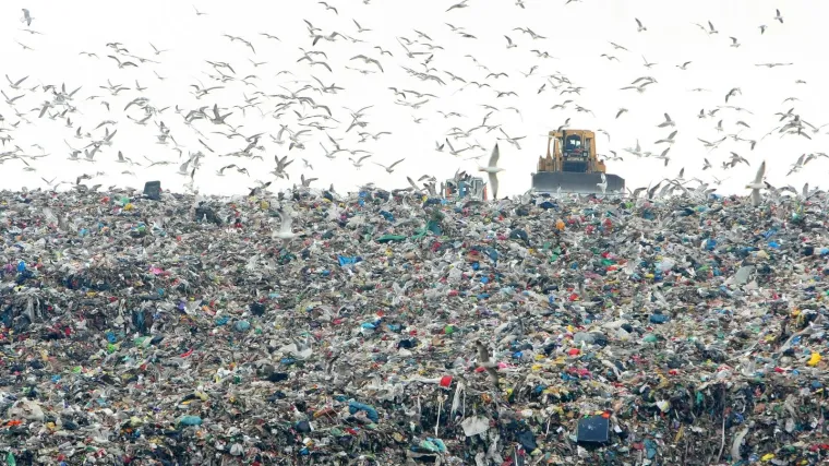 'Stanari u novim zgradama mogu uživo uživati u klanju svinja, ali vrhunac apsurda je ipak nešto drugo'