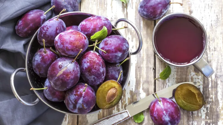 Stare sorte šljiva: otkrijte boje i okuse koje nude stare sorte šljiva