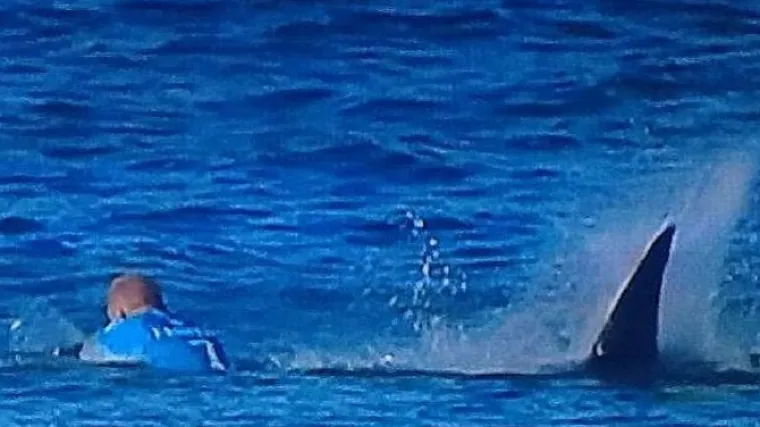 VIDEO 'Sve je izgledalo kao u filmu Ralje': Morski pas ubio mladića (26) dok je surfao na dasci