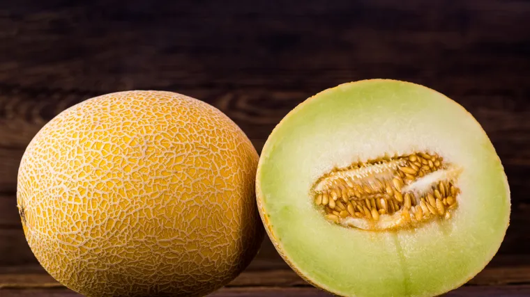 Sočna dinja galija: isprobajte idealno voće za liniju i raspoloženje