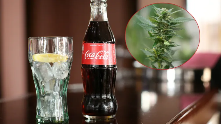Coca Cola cilja na novo trži&scaron;te: Omiljeno gazirano piće uskoro i u varijanti baziranoj na kanabisu?