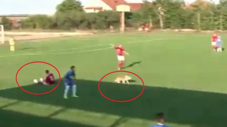 Nogomet u Rumunjskoj istovremeno je neobično zabavan i prilično brutalan