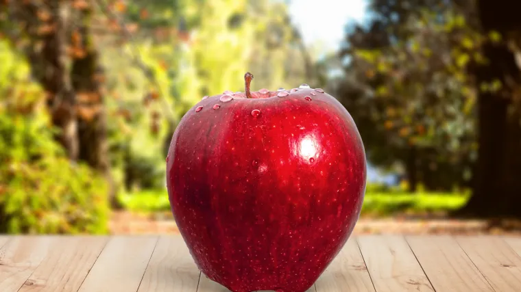 Jabuka freedom - sorta otporna na bolesti jabuke