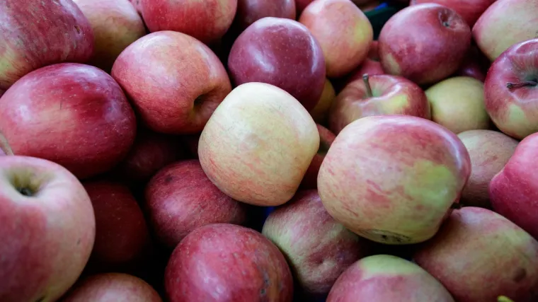 Jabuka fuji - aromatična i sočna sorta jabuka
