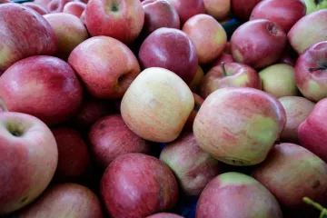 Jabuka fuji - aromatična i sočna sorta jabuka