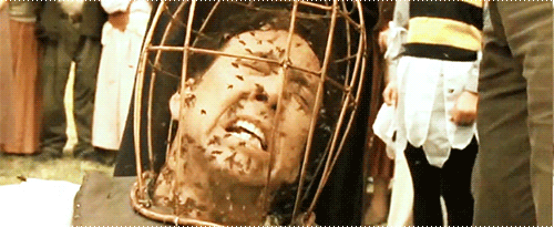 Osa uzrokovala prometnu nesreću i kolonu od 5 kilometara