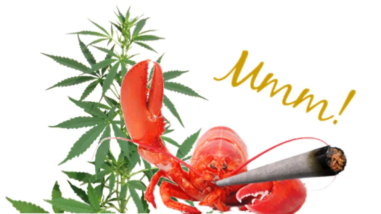 Jastoge prvo napu&scaron;e pa ih fino pripreme: U ovom restoranu tvrde da tako životinje manje pate