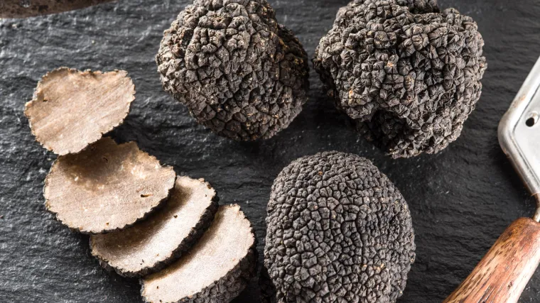 Prijetnje, otrovani psi i posječena stabla: albanskim &scaron;umama zavladao rat oko tartufa