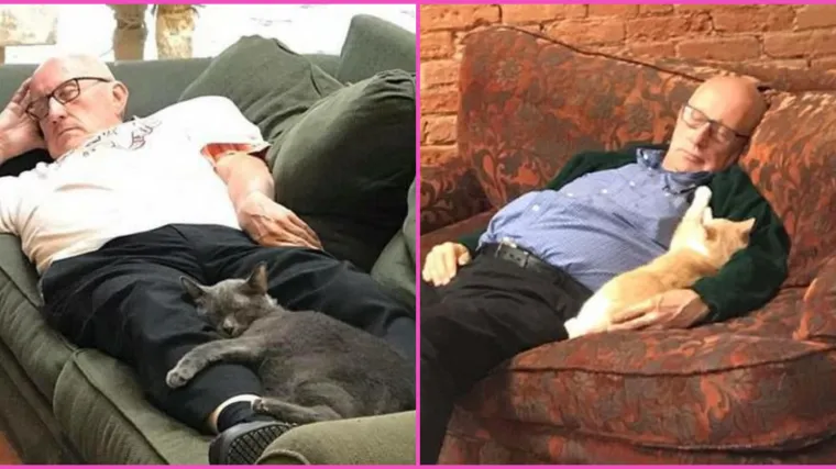 Ovaj 75-godi&scaron;nji volonter u jednom utoči&scaron;tu četka mačke i brine o njima: 'Ponekad i drijemaju zajedno'