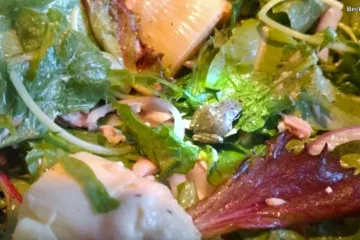 'Živjela je u našem hladnjaku dva dana, pustio sam je u vrt i odskakutala je'