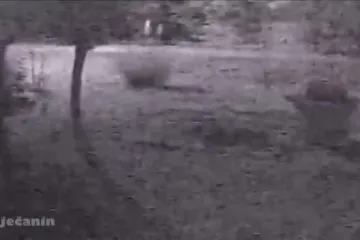 Grupe migranata prolaze kroz mjesto Klana u gluho doba noći