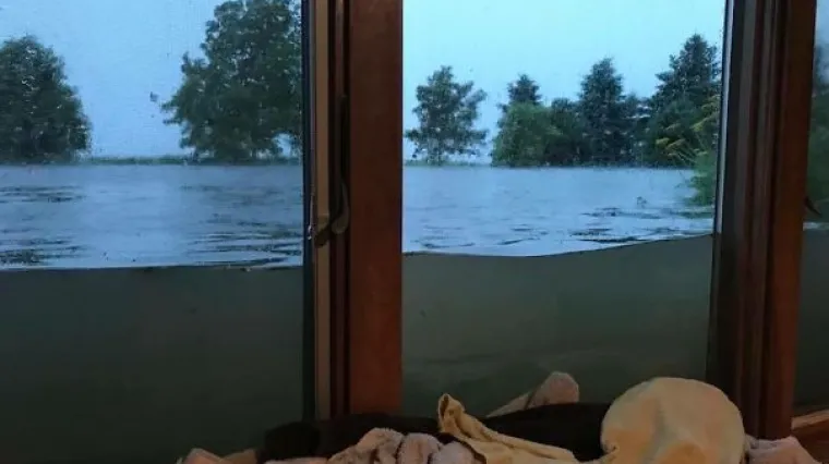 ONI IMAJU NAJGORI DAN U SVOM ŽIVOTU: Mladenki ispala perika, a netko je dobio i mrtvu pticu