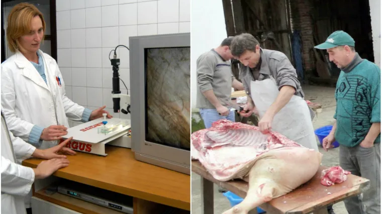 'Kada se ta ličinka uvuče u srčani mišić, ostaje doživotno'