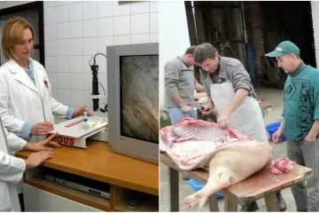 'Kada se ta ličinka uvuče u srčani mišić, ostaje doživotno'