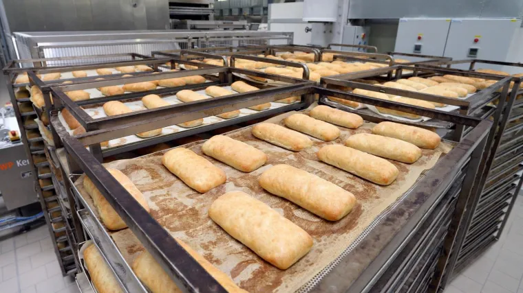 Proizvodnja mesa, mlijeka, povrća i voća u posebno je lo&scaron;em stanju