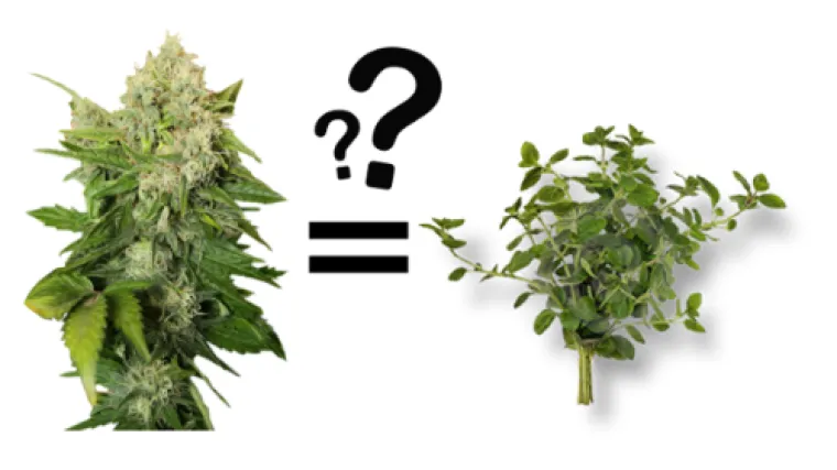 'Sve bi napravili samo da se napu&scaron;e': Provalili u ljekarnu, napravili &scaron;tetu, ukrali ne&scaron;to sasvim drugo