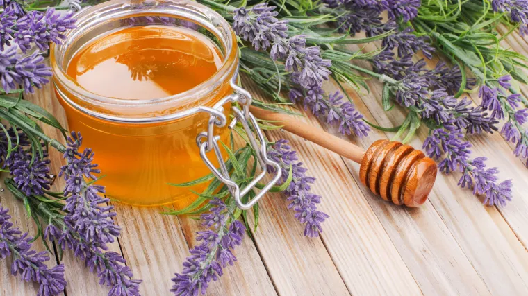Medonosno bilje u kolovozu: pripremite se na uzgoj medonosnih biljaka