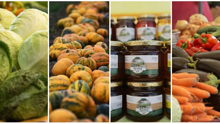 Istražili smo! Kako izbjeći tablete te kojim namirnicama izdržati cijelu zimu bez bolesti?