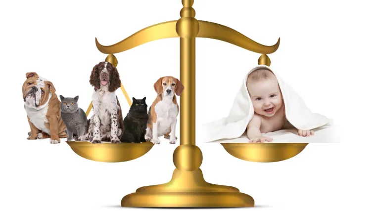 Konačno: Kalifornijski sud će o kućnim ljubimcima nakon razvoda odlučivati kao i o djeci