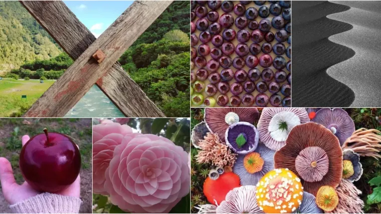 Za sve koji 'pate' od OCD-a: TOP 15 toliko savr&scaron;enih slika koje nećete moći prestati gledati