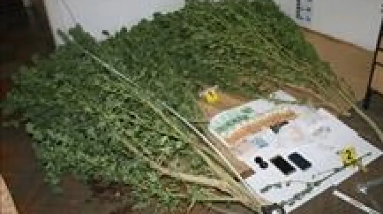 Otac iz sin iz okolice Imotskog pali zbog dilanja droge i krađe mobitela