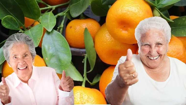 Penzionerski lakat u rebra iliti ono kad starčeki čudnovato prohodaju čim vide mandarine na popustu