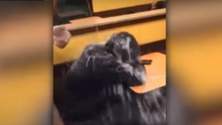 Potjerao bolesnog beskućnika iz restorana: 'Htio sam samo napuniti mobitel kako bih nazvao mamu...'