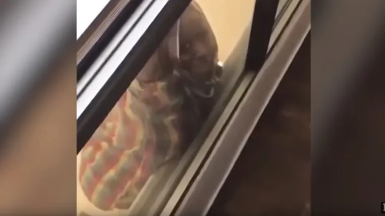 Žena visila s prozora i vri&scaron;tala 'upomoć', a ova ju snimala