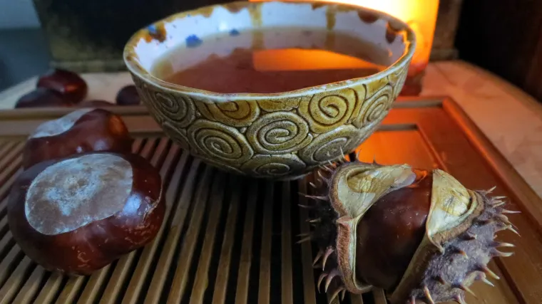 Može li kineski kesten potisnuti naš domaći kesten?