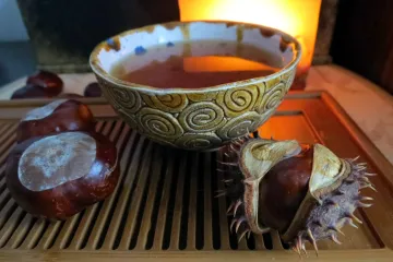 Može li kineski kesten potisnuti naš domaći kesten?