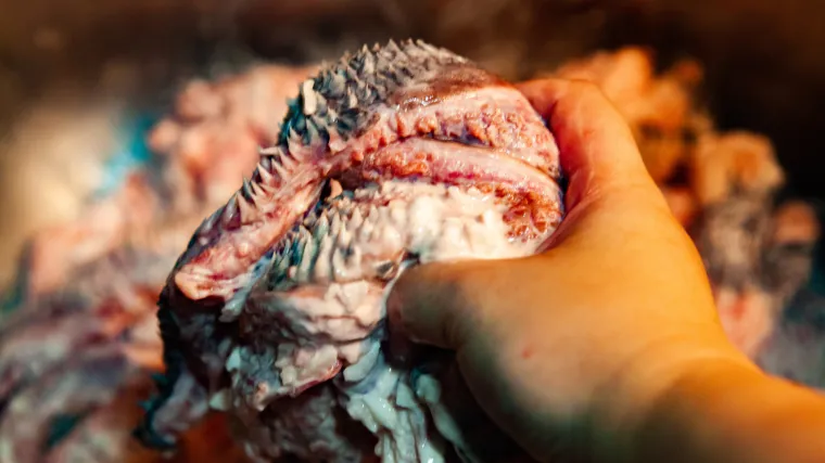 Mladić i maloljetnica raskomadali i pojeli čovjeka: 'Mozak je bio preukusan'