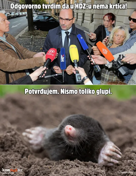 Istina o aferi