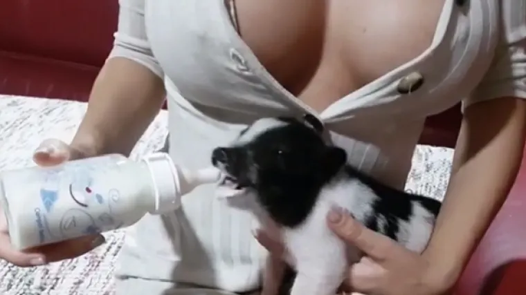 'Ja samo sise vidim, skreni pogled ako može&scaron;'