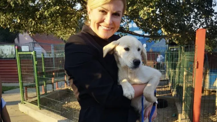 Kika je živjela u skloni&scaron;tu, a sada postaje - Prvi pas Hrvatske