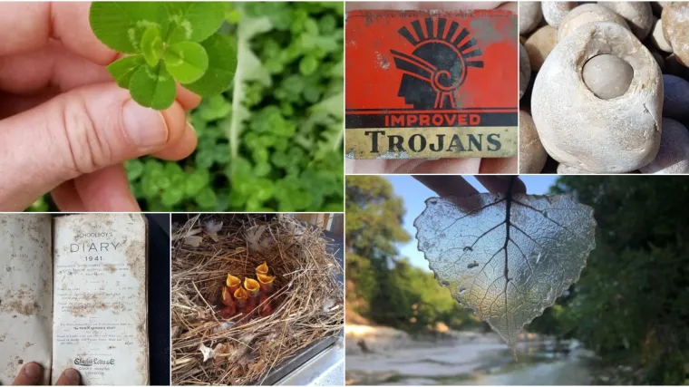 TOP 15 'Kad te život iznenadi' situacija: Kad se najmanje nada&scaron;, čudo će ti pokucati na vrata!