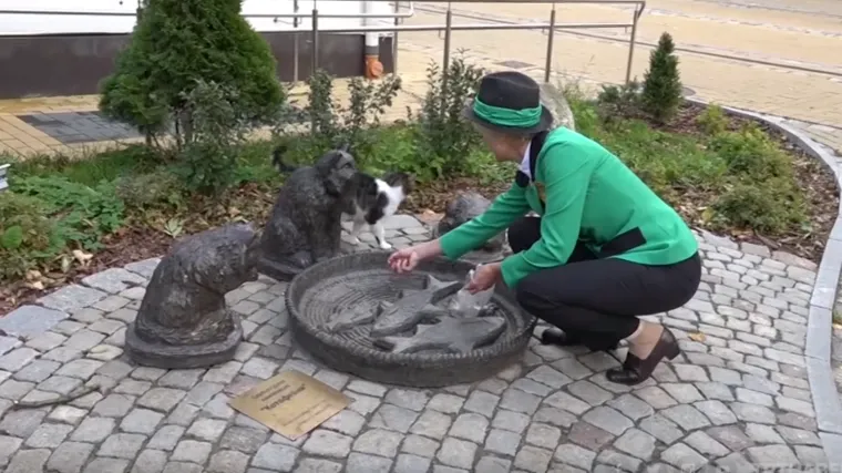 Svetlana je postala '&scaron;efica mačaka': brine da je 70 mačaka lutalica nahranjeno i zbrinuto