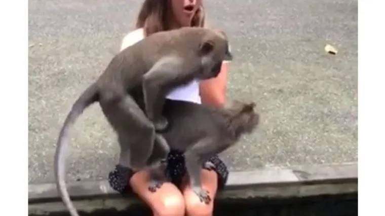 'Samo je htjela fotku, a zavr&scaron;ila je u trojcu'