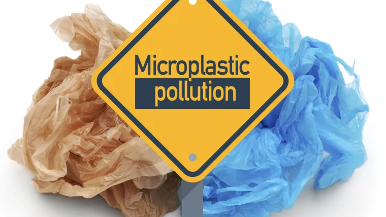 Znanstvenici poručuju: 'Imamo dokaz, plastika je dospjela i u ljudski organizam'