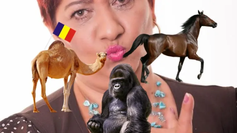 'Vidi kakav si gorila, kao konj kamila': Rada Vasić ponovno odu&scaron;evljava svojim kreativnim uvredama