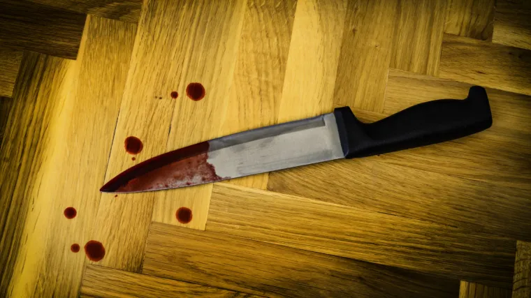 Prijetila trudnoj ženi da će ju nožem ubiti i rasporiti