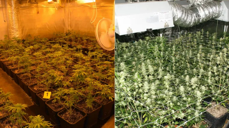 Velika policijska akcija 'Pollos': Uhićeno 17 osoba i pronađeno 5 laboratorija za proizvodnju opijata