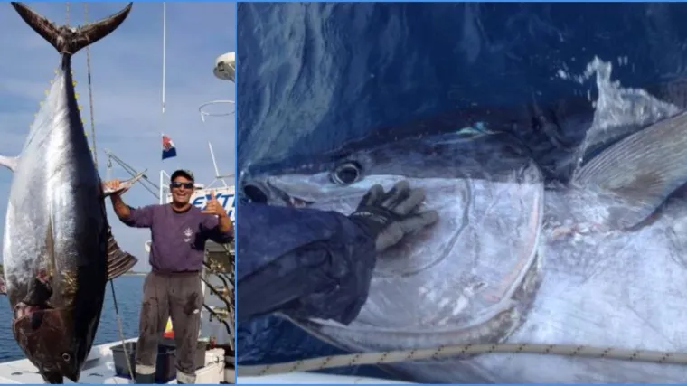 Ulovio tunu rekordera od 317 kilograma: 'Cijena joj seže preko 35000 kuna'