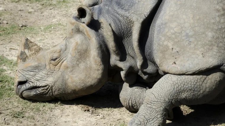 Pogledajte &scaron;to smo učinili samo od 1970. do danas