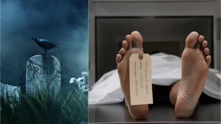 Smrt ne možemo planirati, ali kad te ubije čep od &scaron;ampanjca...  Donosimo vam 10 najbizarnijih uzroka smrti