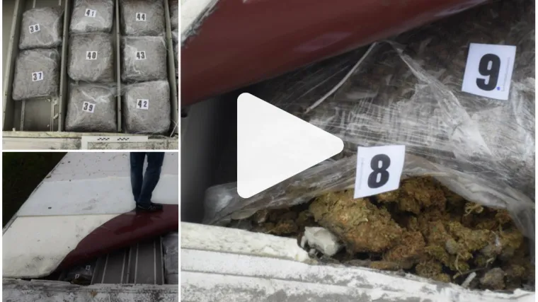 Pogledajte snimke policijskog plijena: Na vrhu hladnjače pronađeno oko 100 kg marihuane